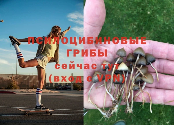 ECSTASY Баксан