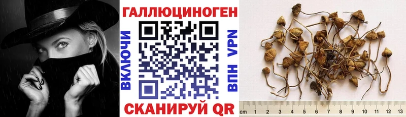 Псилоцибиновые грибы мицелий  Луховицы 